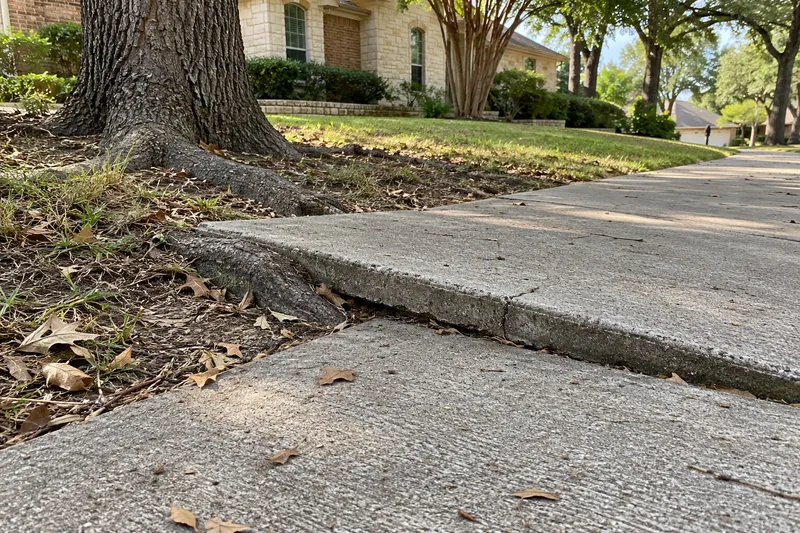 Concrete Sidewalk Repair in Waco, TX, example photo: sidewalk panel lifted by a tree root into a trip edge