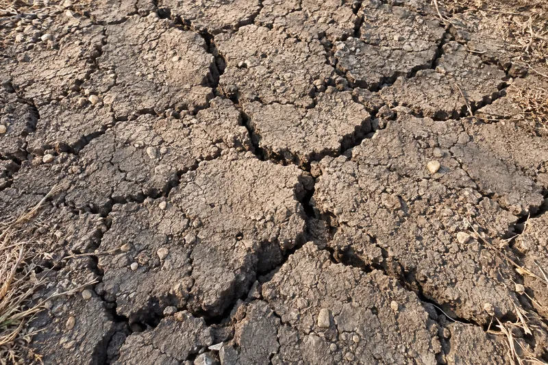 Concrete on Waco's Black Clay: Cracks, Heave and Central Texas Weather, example photo: dry clay soil split by wide shrinkage cracks